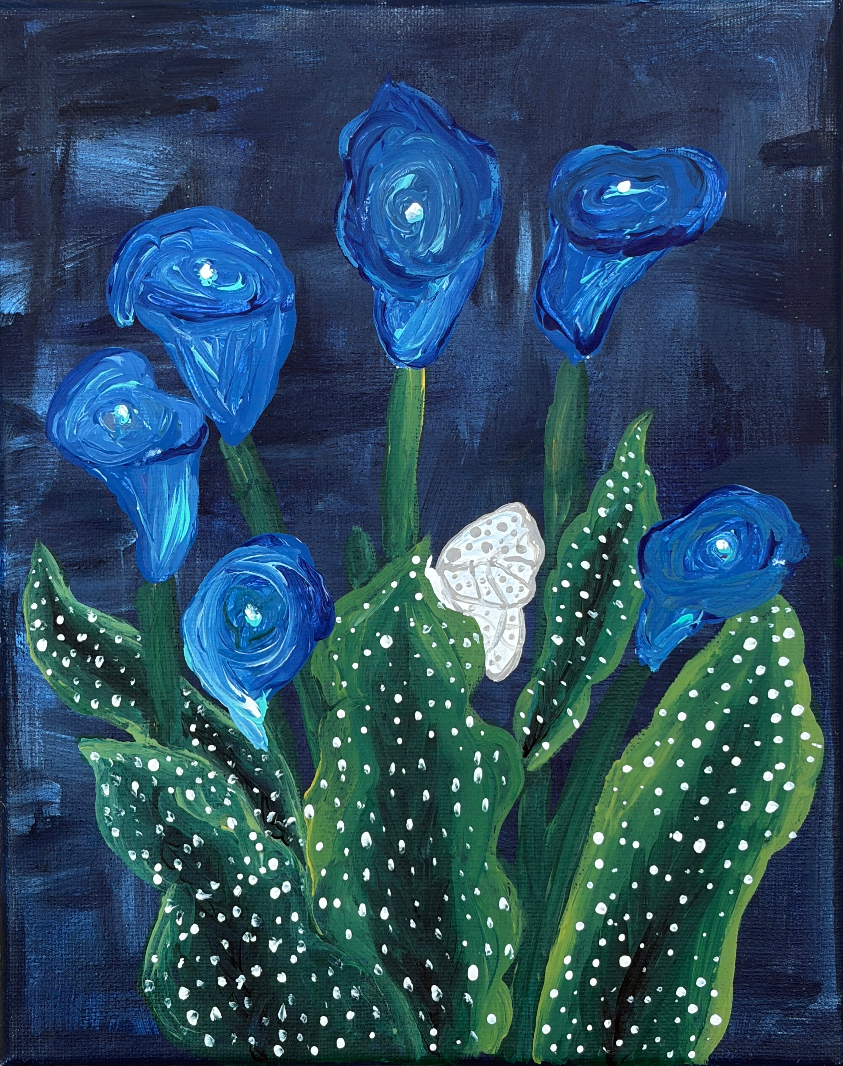 Midnight Callas Original